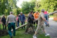 /album/majusfa-kiemelese-2015/a11390124-875642262504767-55921496263838585-n-jpg/